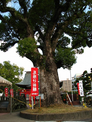 龍造寺八幡宮3