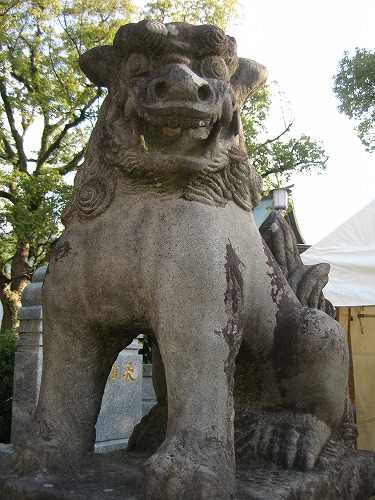 楠神社6