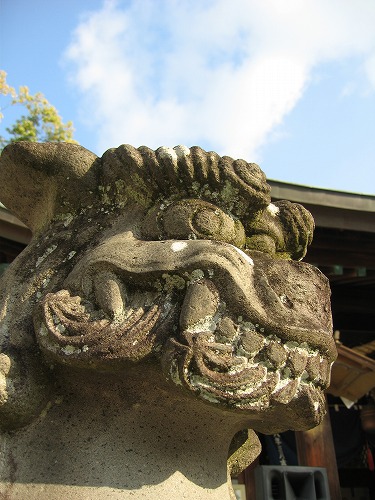楠神社8