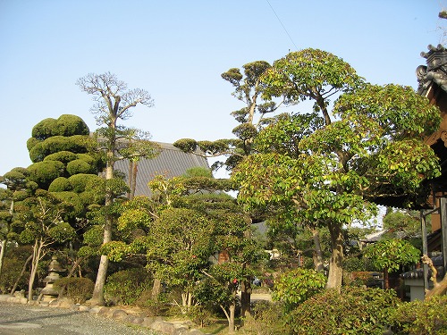 宗龍寺3