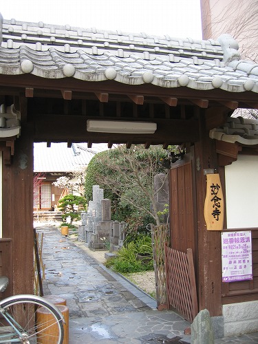 妙念寺1