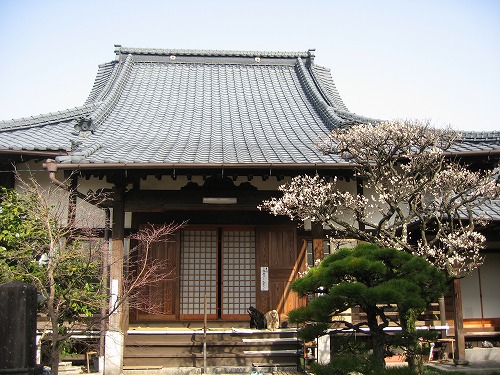 妙念寺4