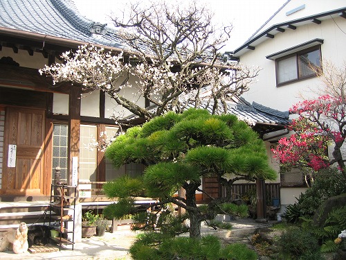 妙念寺5