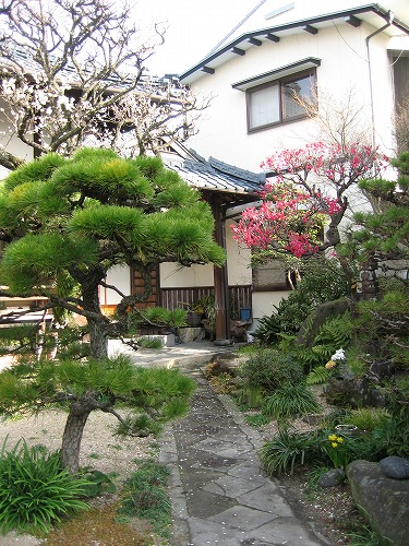 妙念寺15