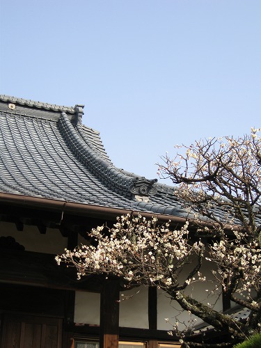 妙念寺10