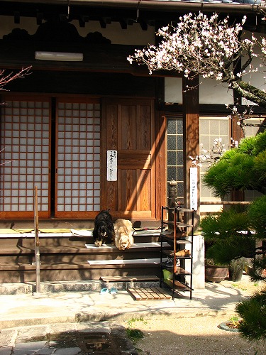 妙念寺12