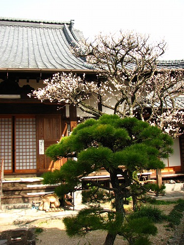 妙念寺13