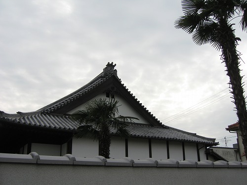 照光寺2