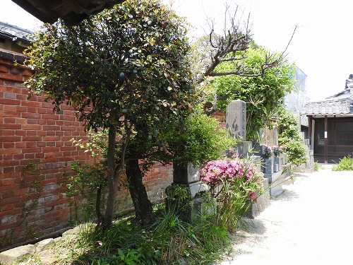 専福寺8