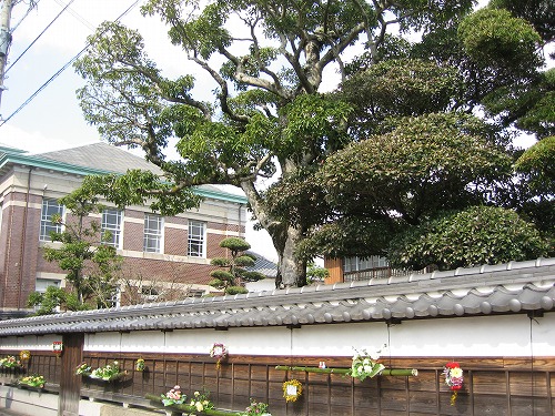 旧古賀家12