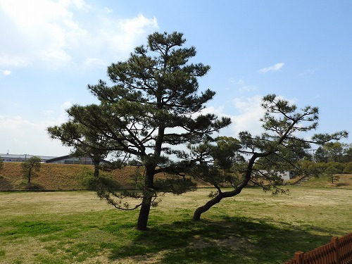 佐賀城30