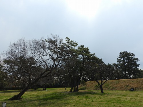 佐賀城31