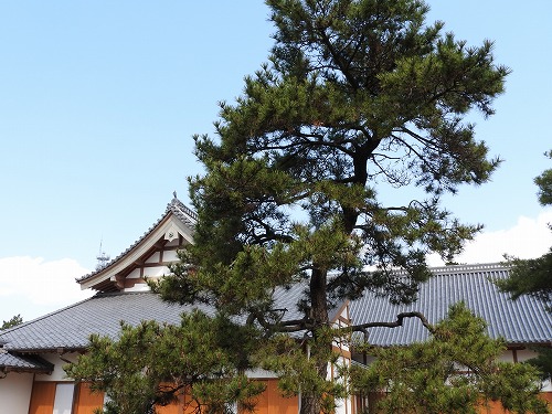 佐賀城5