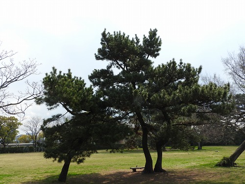 佐賀城32