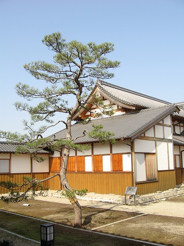 佐賀城25