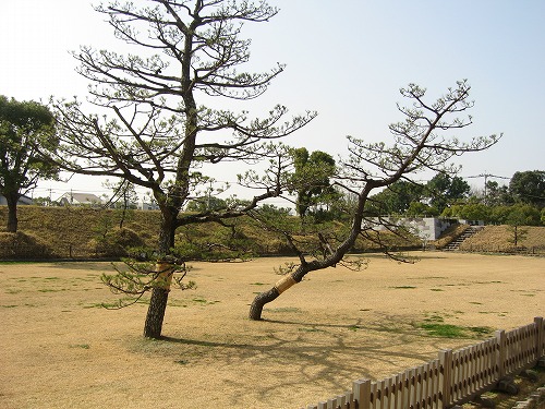 佐賀城36