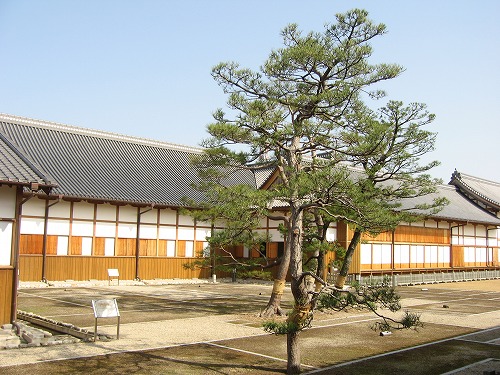 佐賀城12
