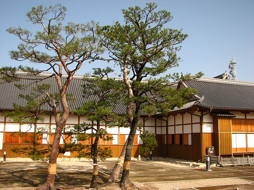 佐賀城15