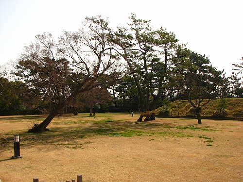 佐賀城33
