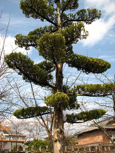 大隈重信旧宅9