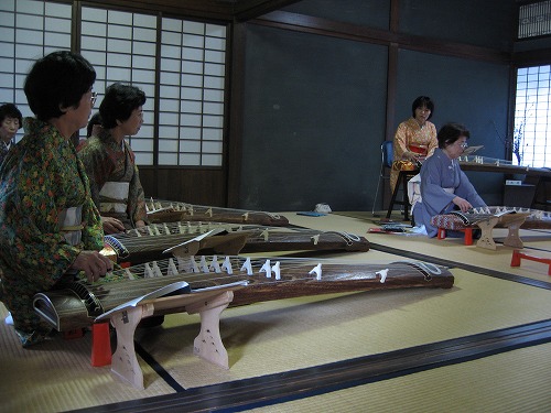琴6