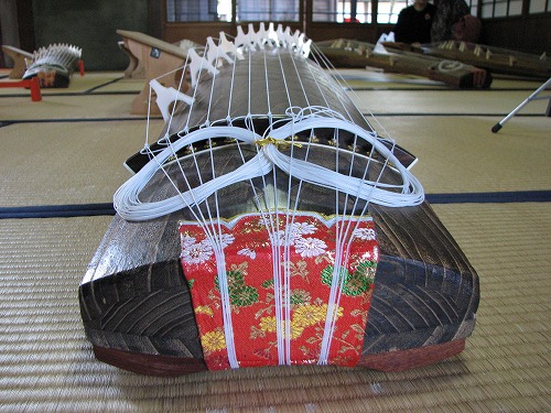 琴14