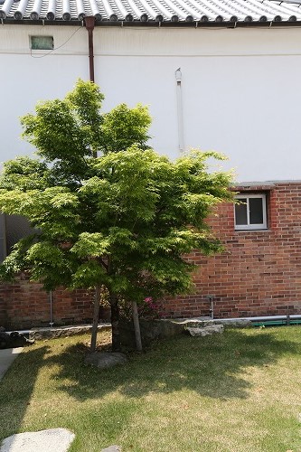 旧中村家9