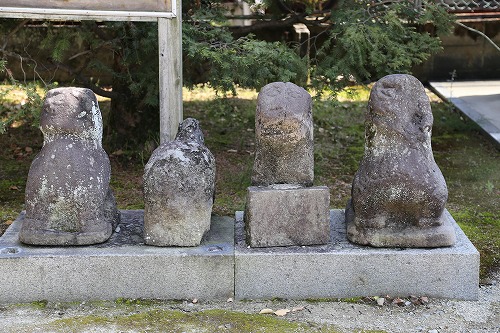 少弐神社12