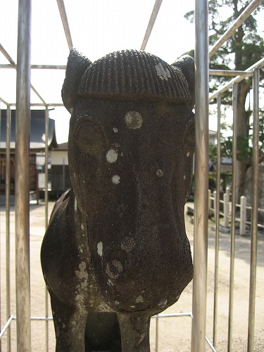 与賀神社9