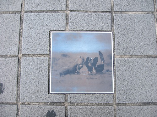 佐賀市12