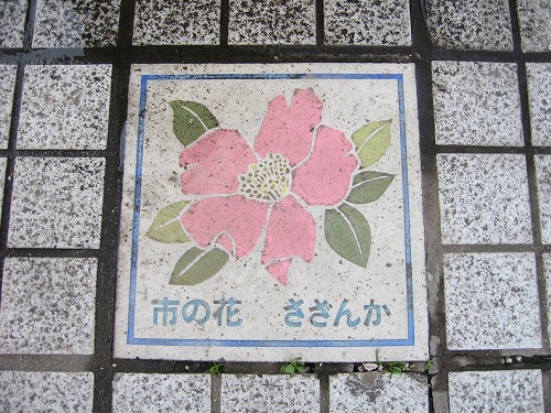 佐賀市14
