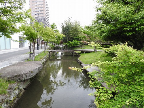 松原川8