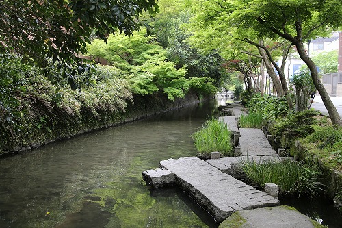 松原川3