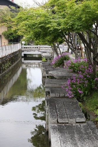松原川25
