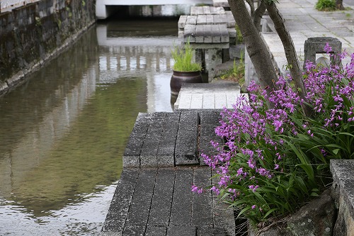 松原川16