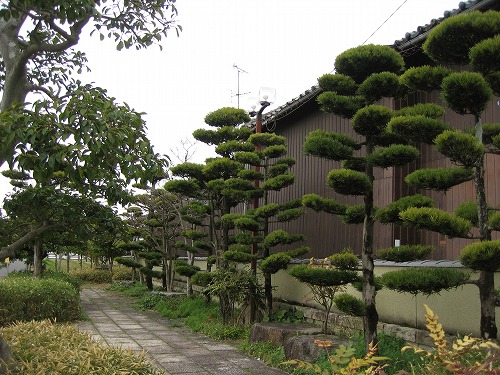 高橋17