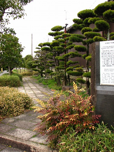 高橋19