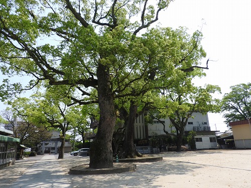 佐賀県護国神社12