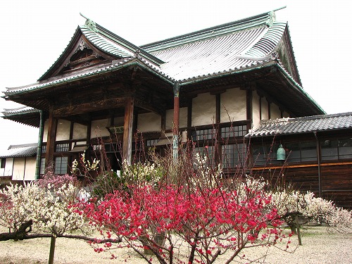 高伝寺7