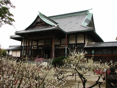 高伝寺8