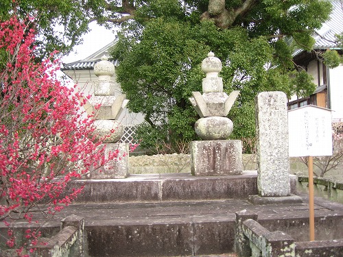 高伝寺墓所8