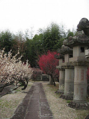 高伝寺墓所3