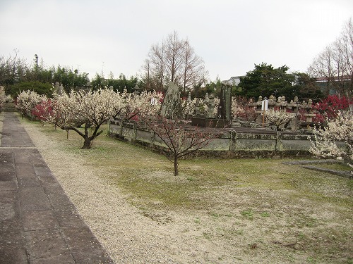 高伝寺墓所13