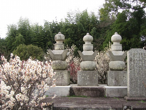 高伝寺墓所6