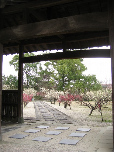 高伝寺墓所18