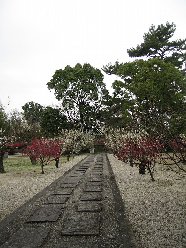 高伝寺墓所16