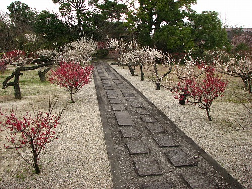 高伝寺墓所1