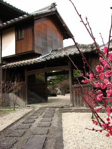 高伝寺22