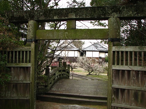 高伝寺19