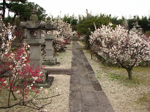 高伝寺墓所2